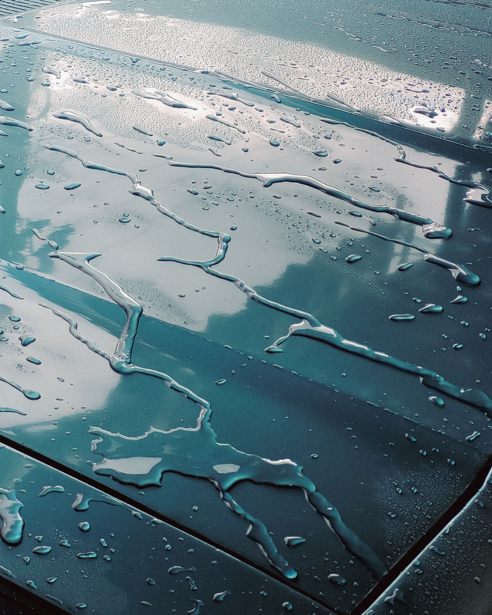 Water beading and running off the glossy painted surface of a coated car